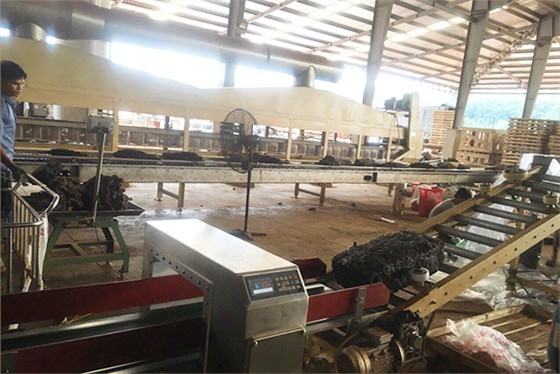 連康明全球生產(chǎn)線內(nèi)景