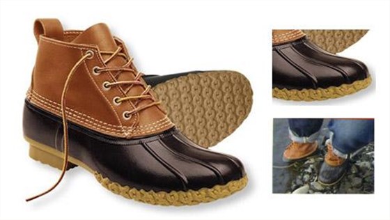 u=2576108972，1246696469&fm=23&gp=0