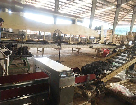 連康明全球生產(chǎn)線內(nèi)景